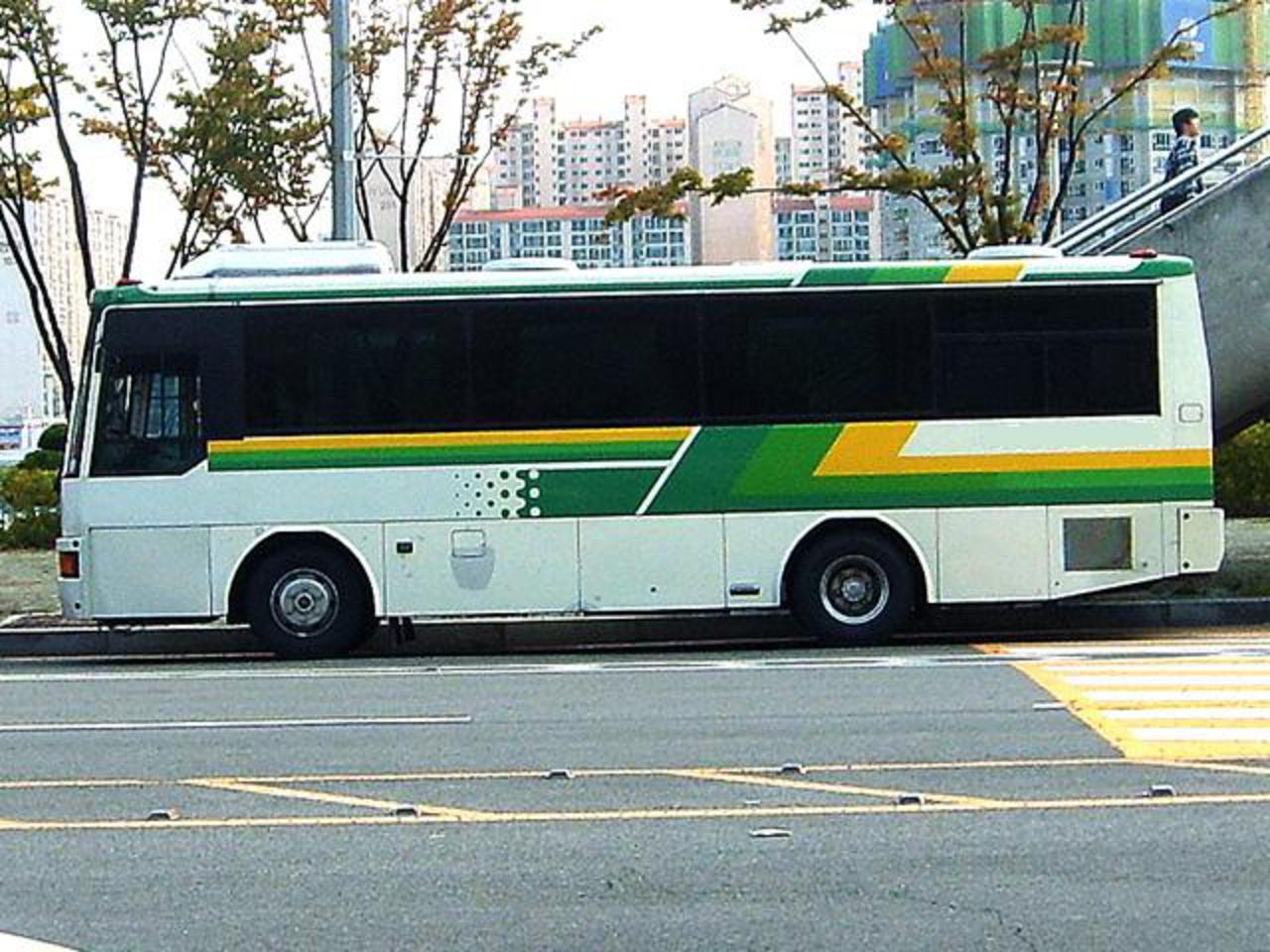 Asia bus
