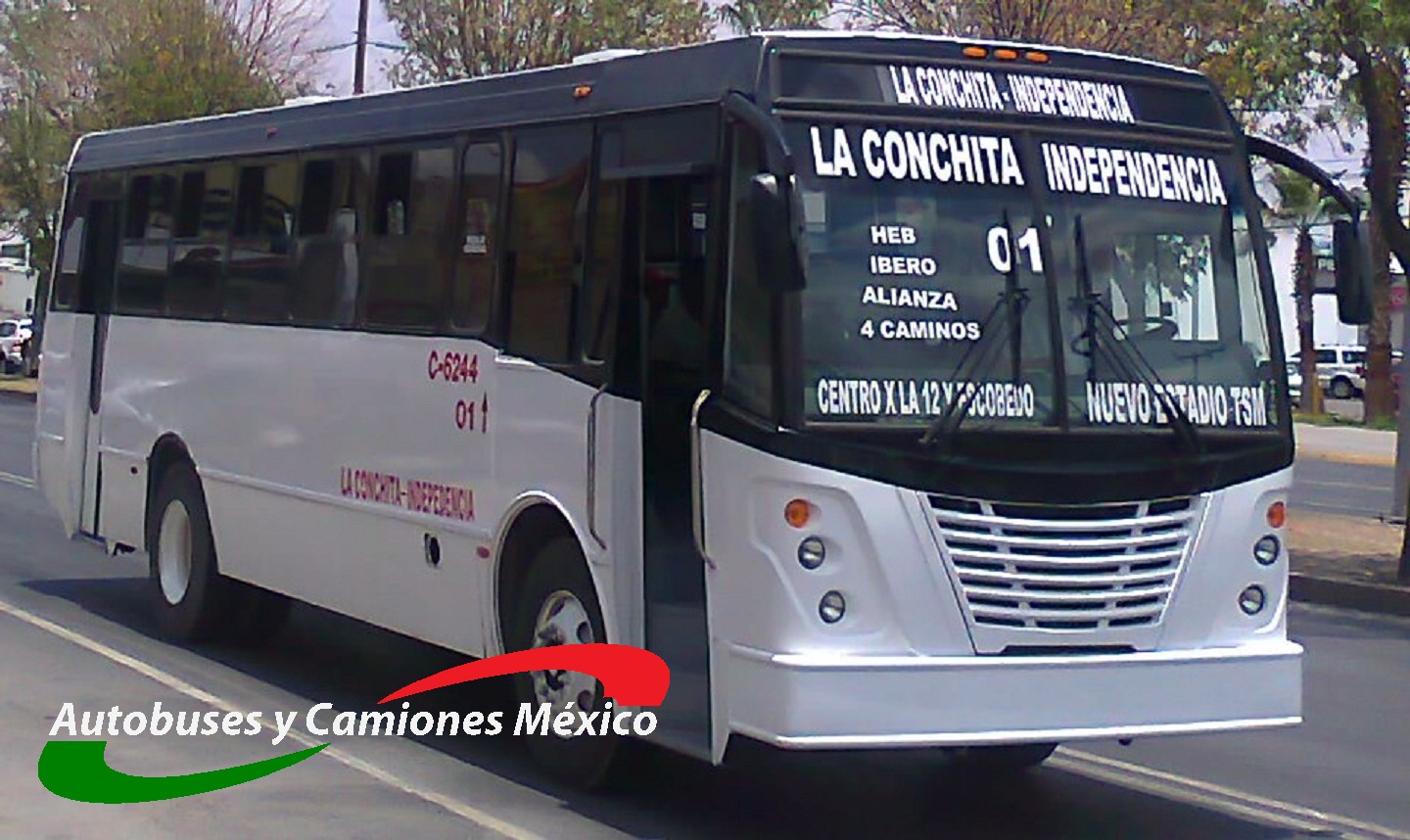 Autobuses y Camiones MÃ©xico: Camiones de La Laguna 1