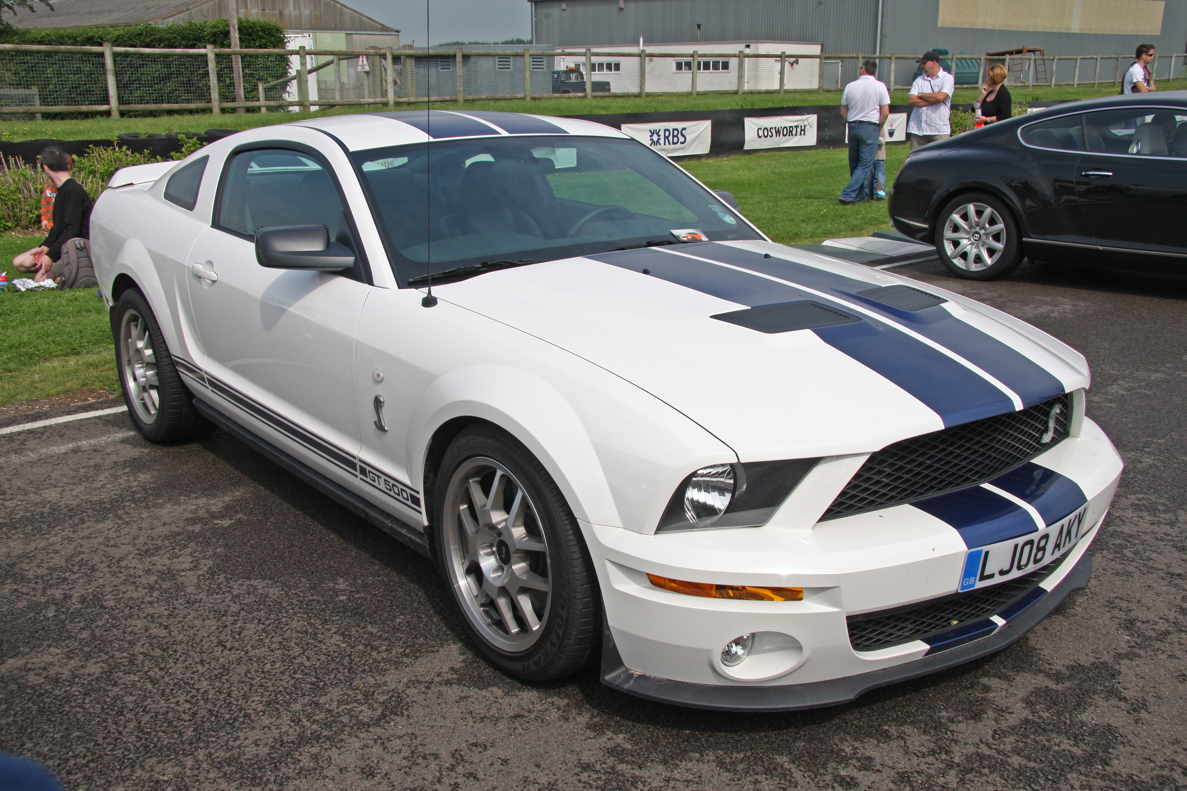 File:Ford Mustang Shelby GT 500 - Flickr - exfordy.jpg - Wikimedia ...