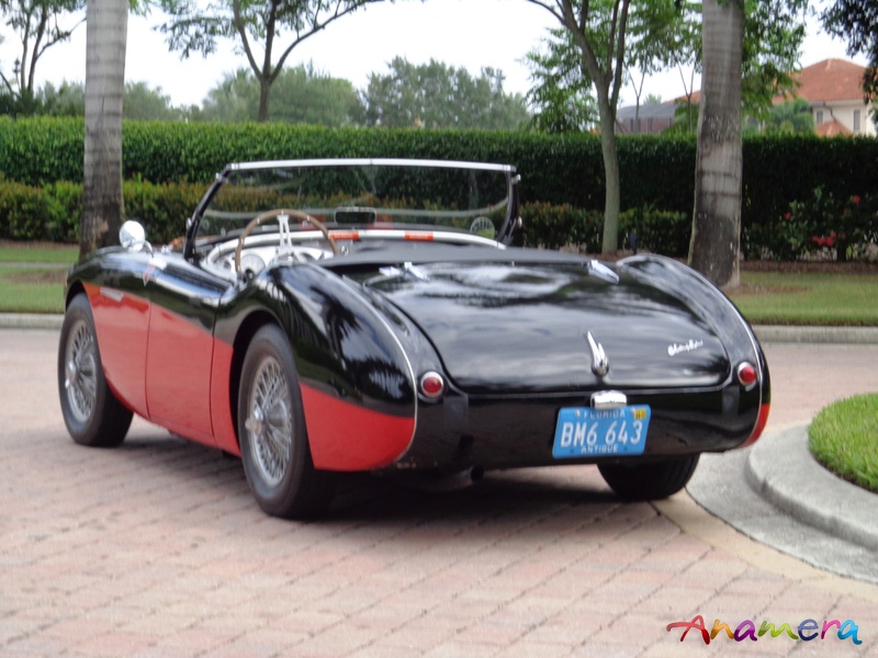 1956 Austin-Healey 100 M (BN2) 100/4 M COMPETITION for sale: Anamera