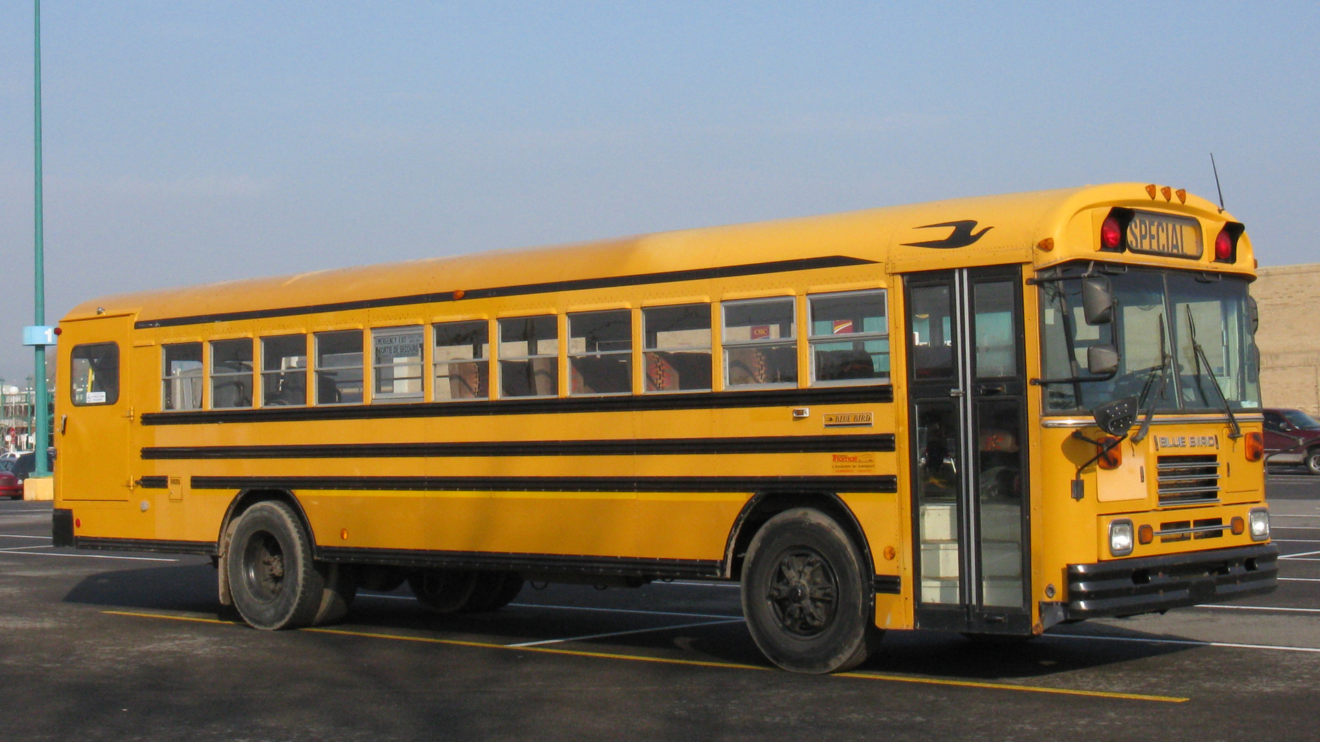 Blue Bird School Bus | Flickr - Photo Sharing!