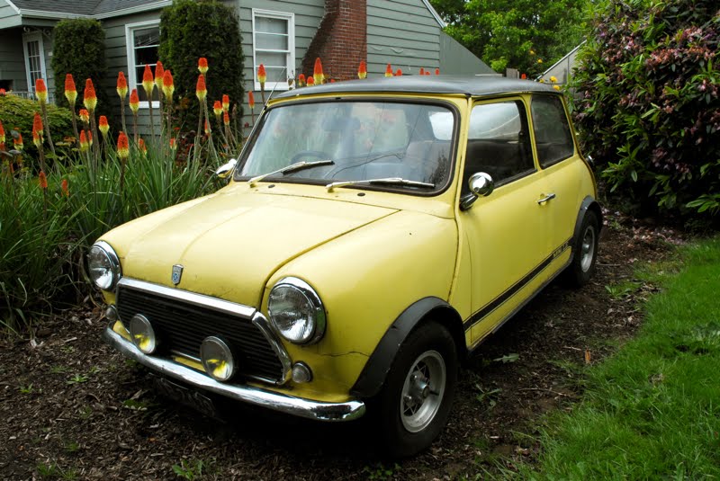 OLD PARKED CARS.: 1976 Austin Mini 1000 Special LE.