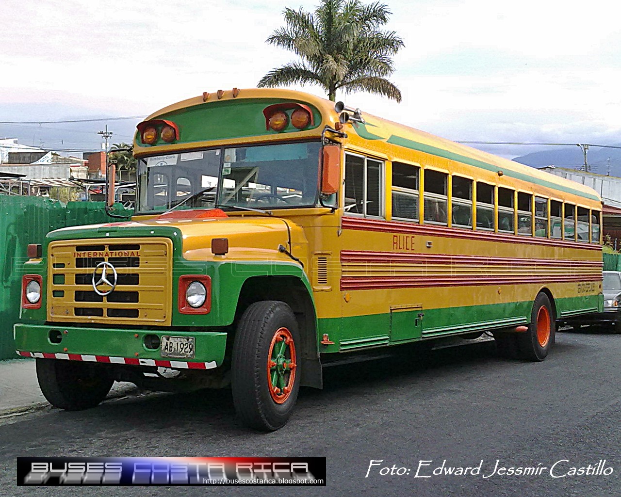 Buses Costa Rica: GalerÃ­a 15-