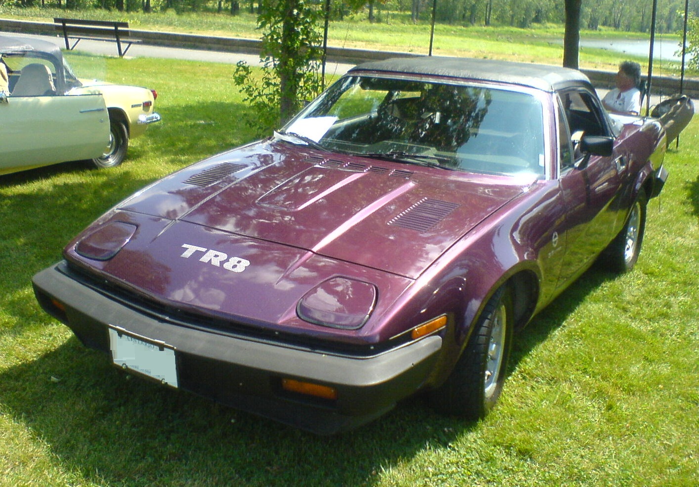 Triumph TR 8 Works Car: Photo gallery, complete information about ...