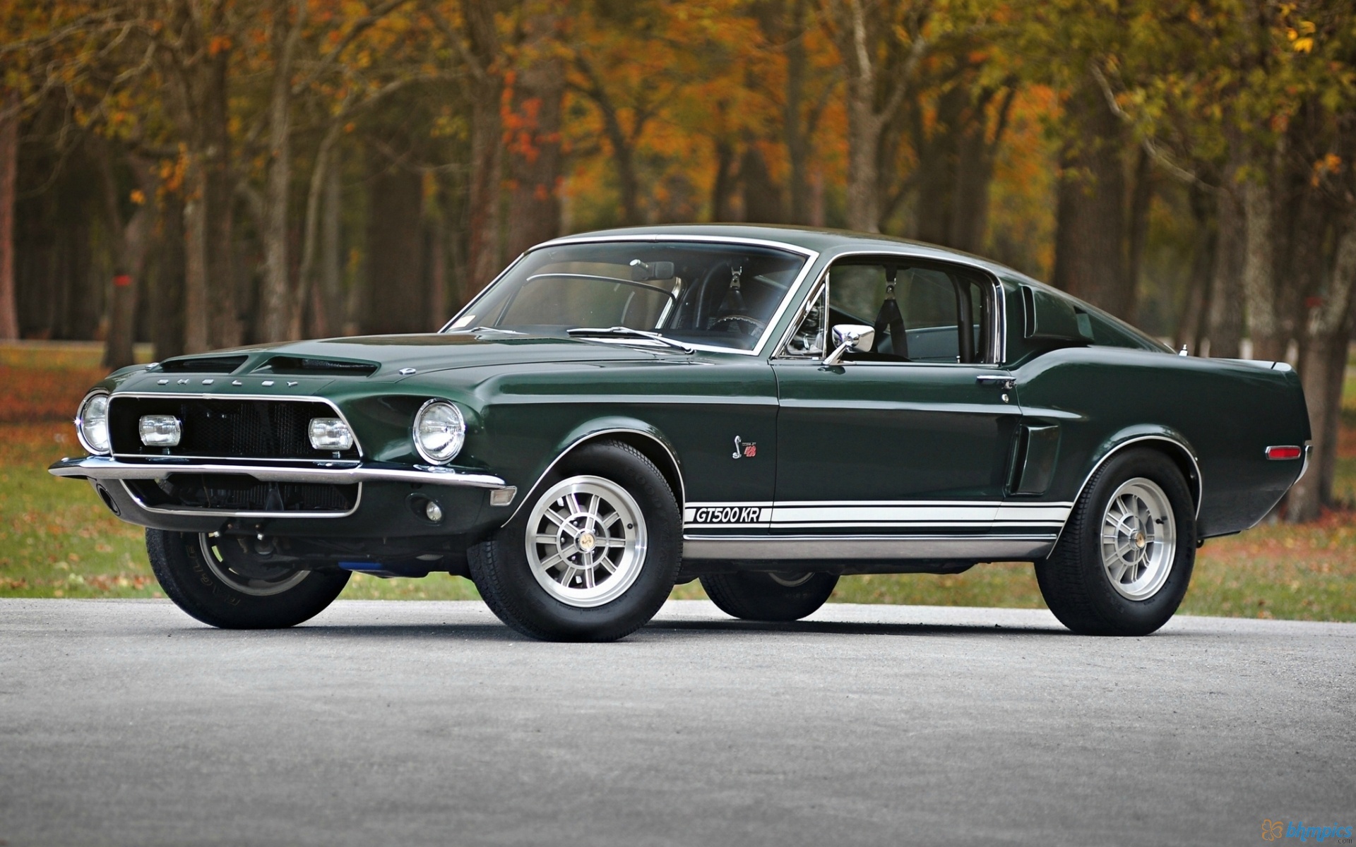 1968 Ford Mustang Shelby GT 500 Wallpapers - 1920x1200 - 644763