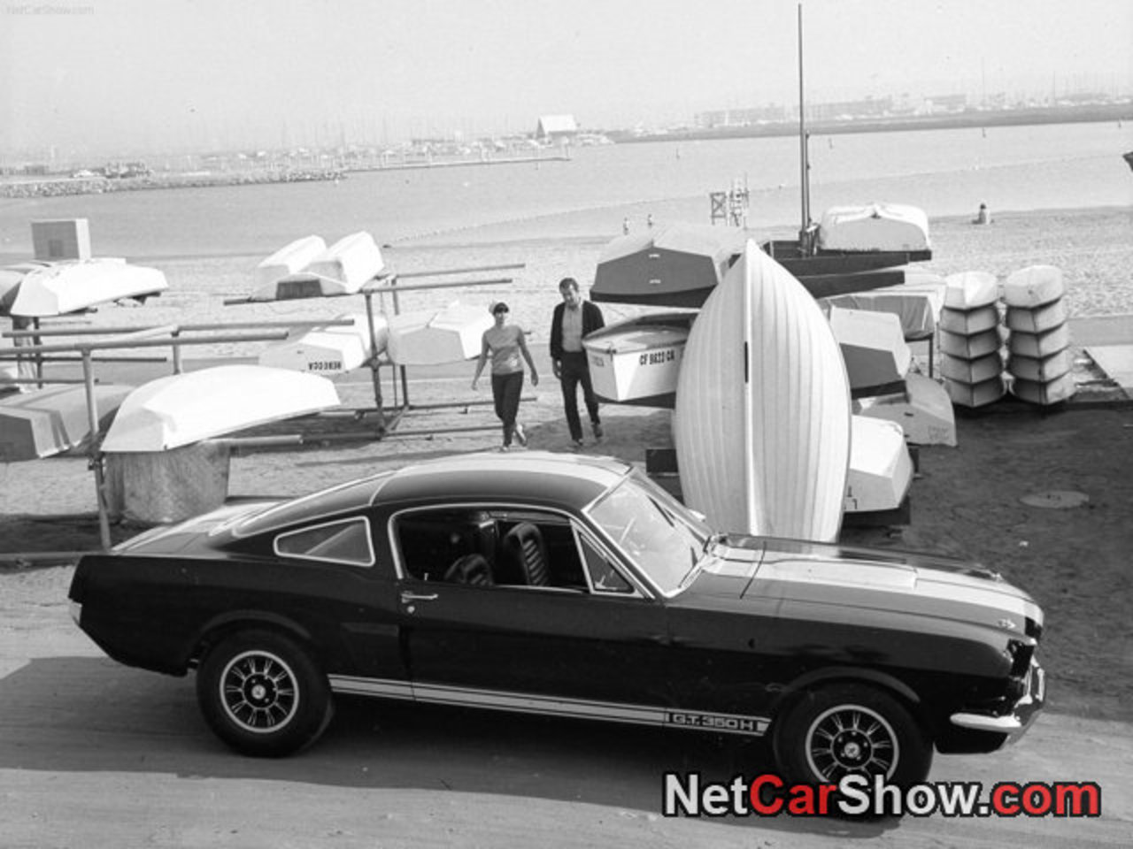 Ford Mustang Shelby GT-350H picture # 02 of 04, Side, MY 1966 ...