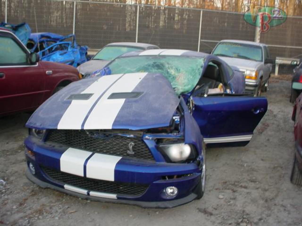Totalled Mustang Shelby GT-500 - Ford Mustang Forums