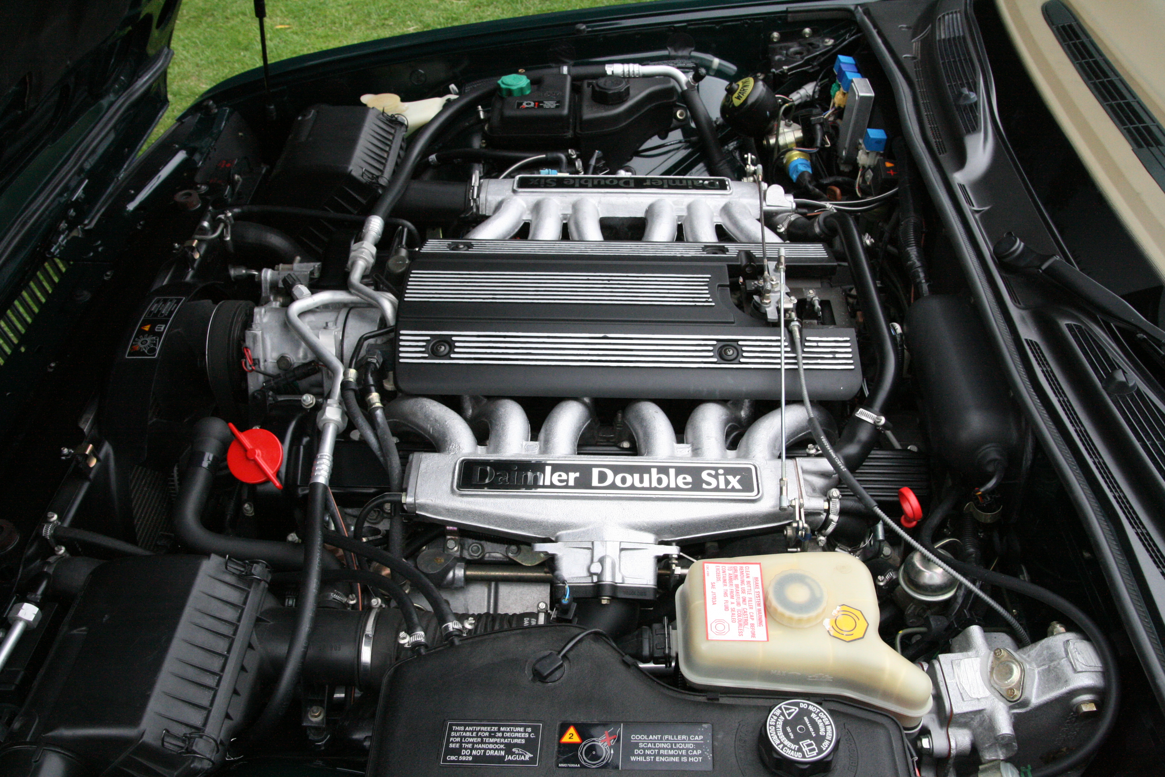 File:Jaguar Daimler Double Six 6.0 liter V12 engine (1994).jpg ...
