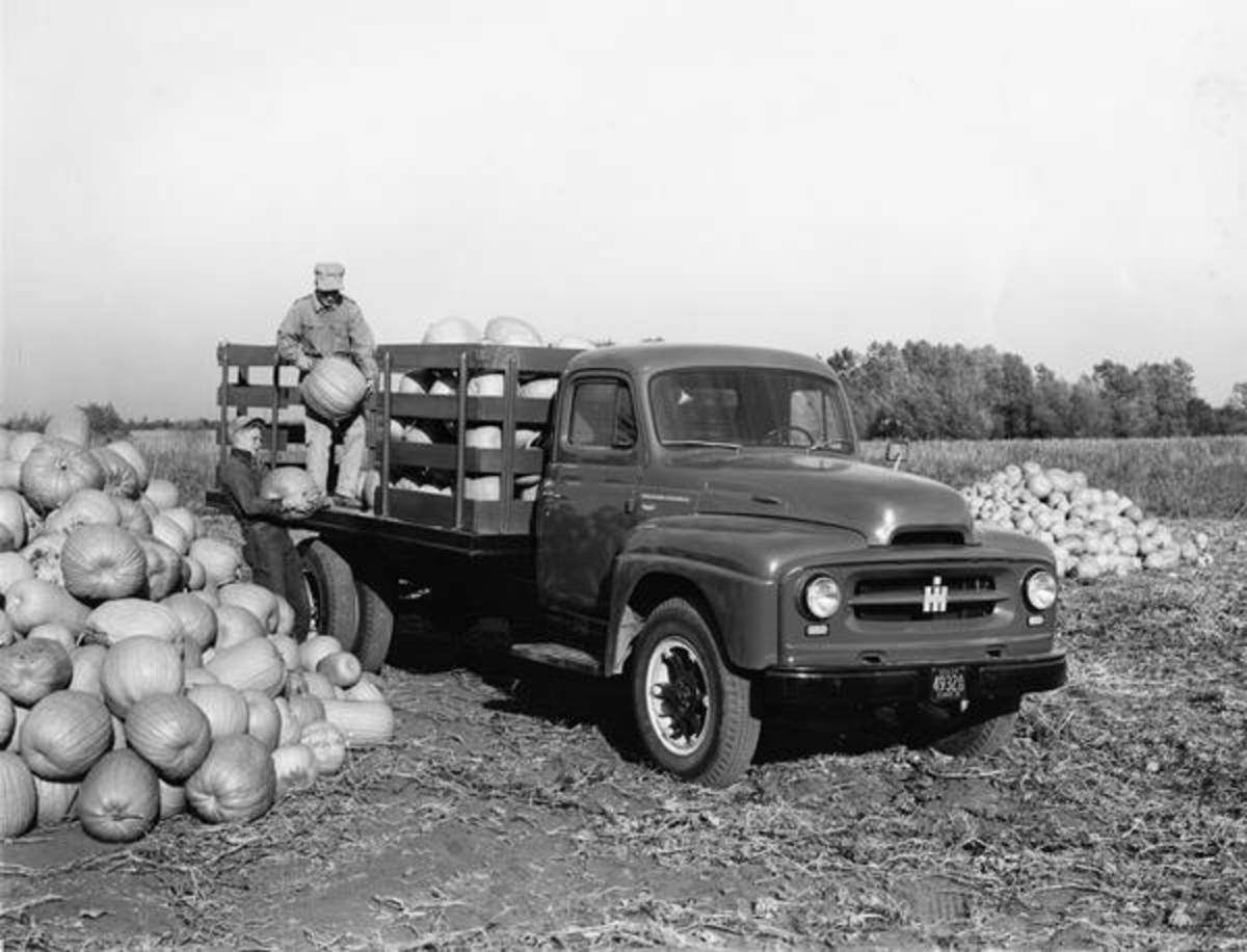 Wisconsin Historical Images - Hauling Pumpkins with an ...