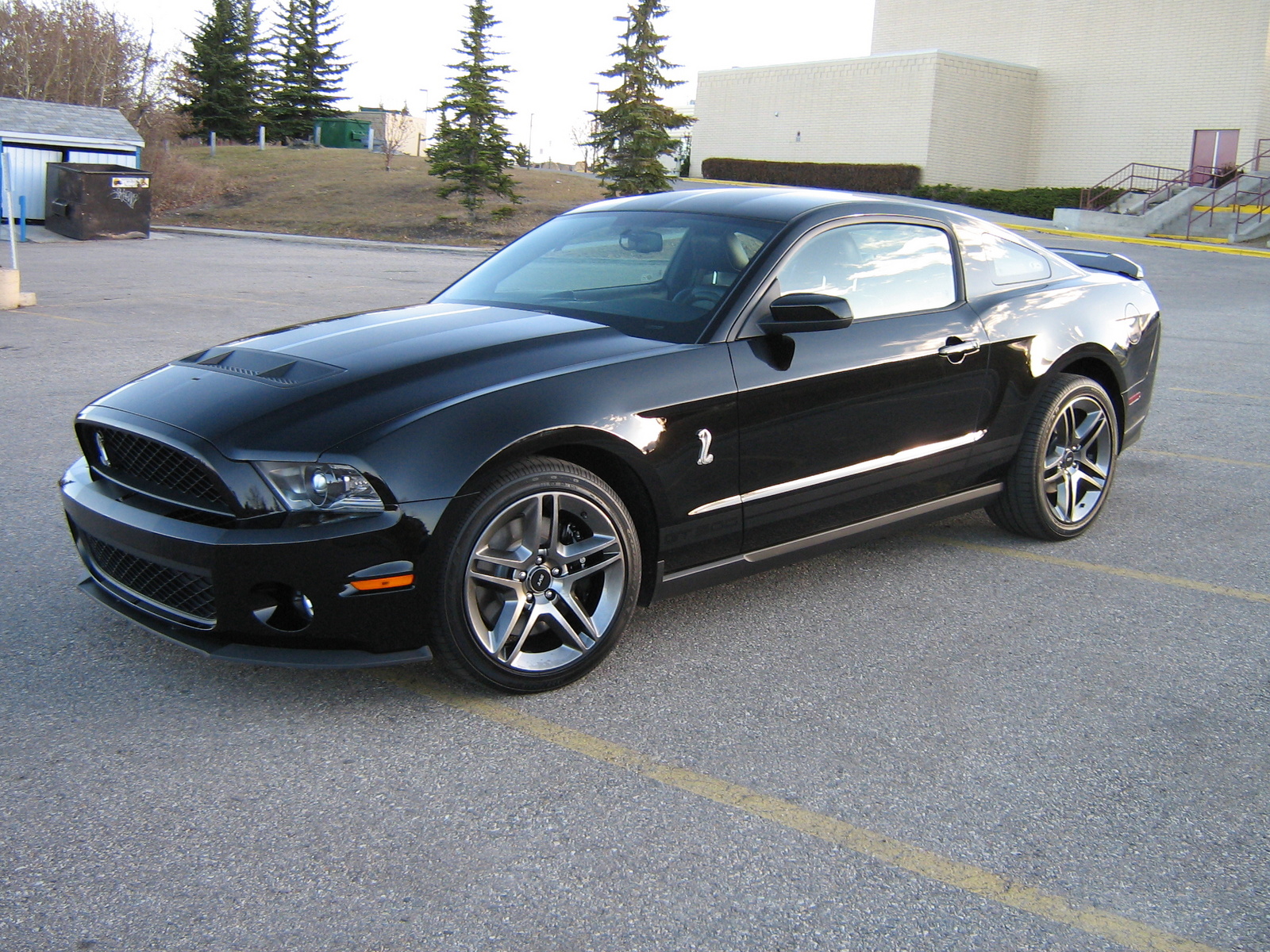 2010 Ford Shelby GT500 Coupe - Pictures - 2010 Ford Shelby GT500 ...