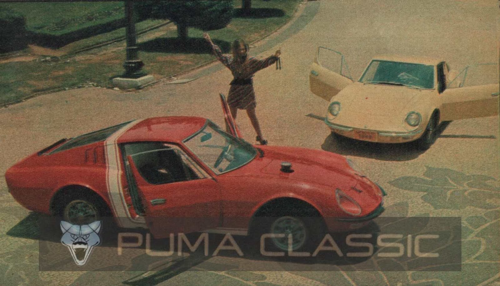 Puma Classic: Feras e Gatas