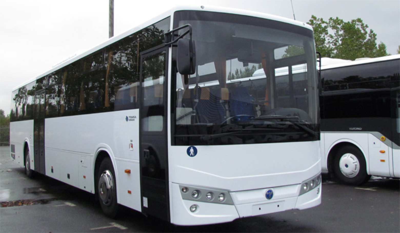 TRANS'BUS - Dossier : Autocar Expo : Dietrich Carebus (Temsa ...