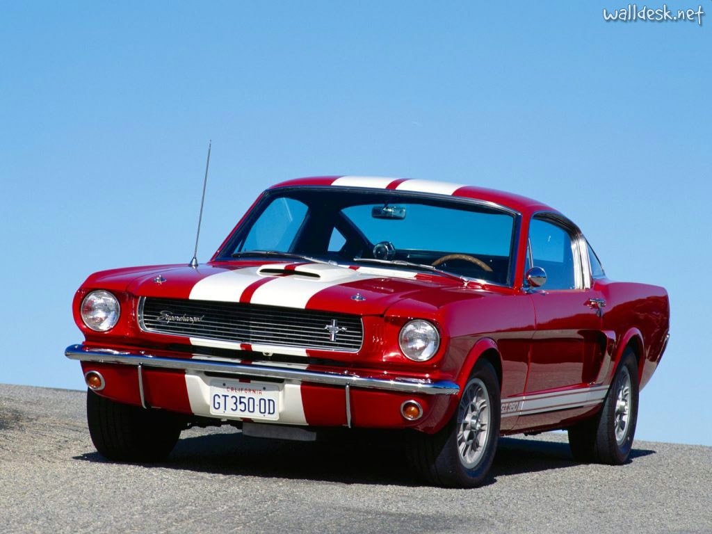 1966 Ford Mustang Shelby GT 350 | Images to Desktop 1950-1970 Cars ...