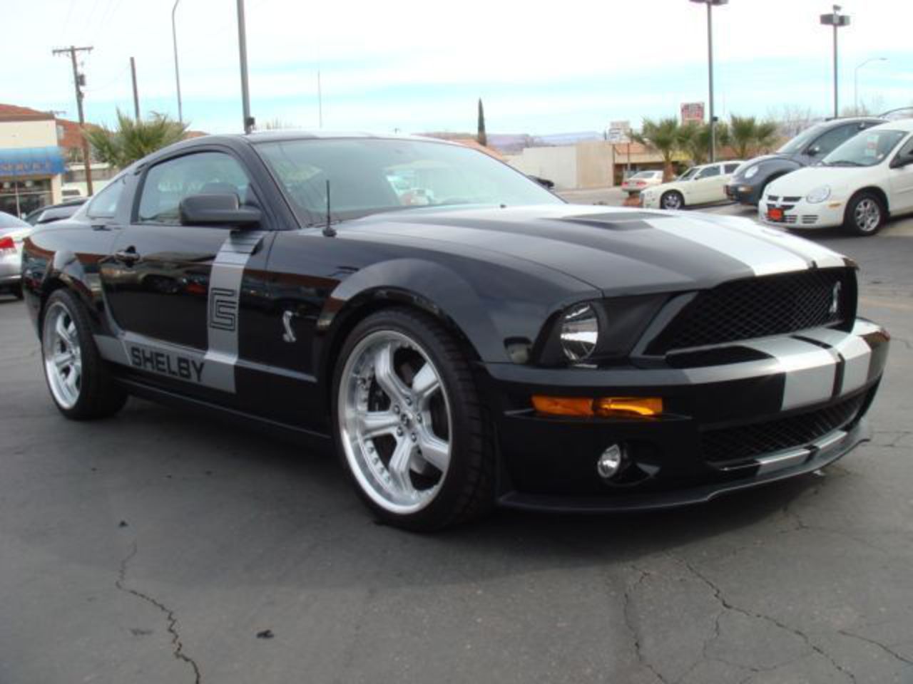 2007 Ford Mustang Shelby GT500 Coupe Pictures - 2007 Ford Mustang ...