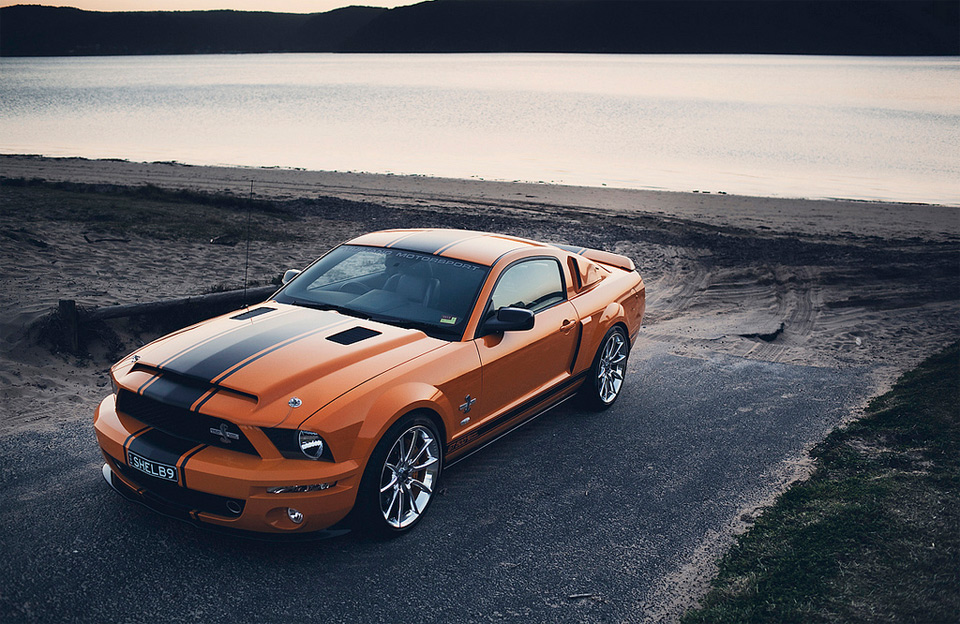 shelby mustang photo