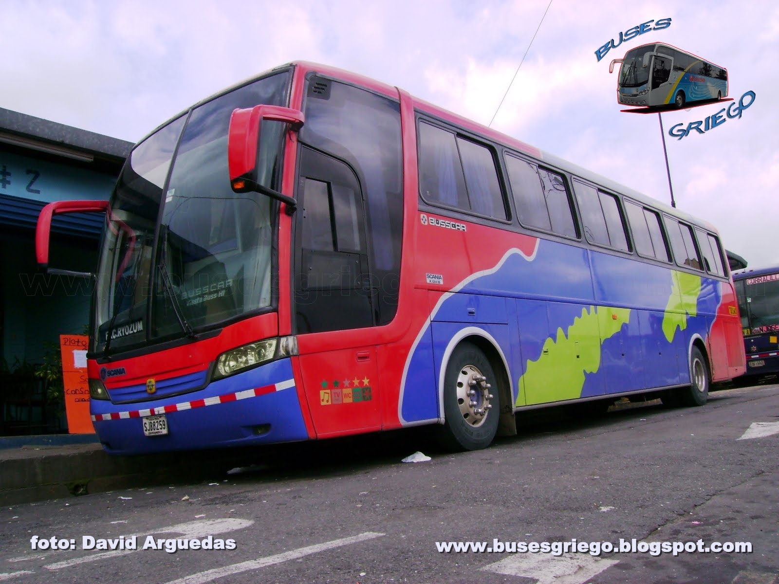 buses griego: GALERIA 20 (