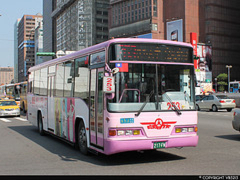Shin-Shin Bus 2008 Hino RK8JRSA #217-FN seen on route 630 at Zhongxiao West