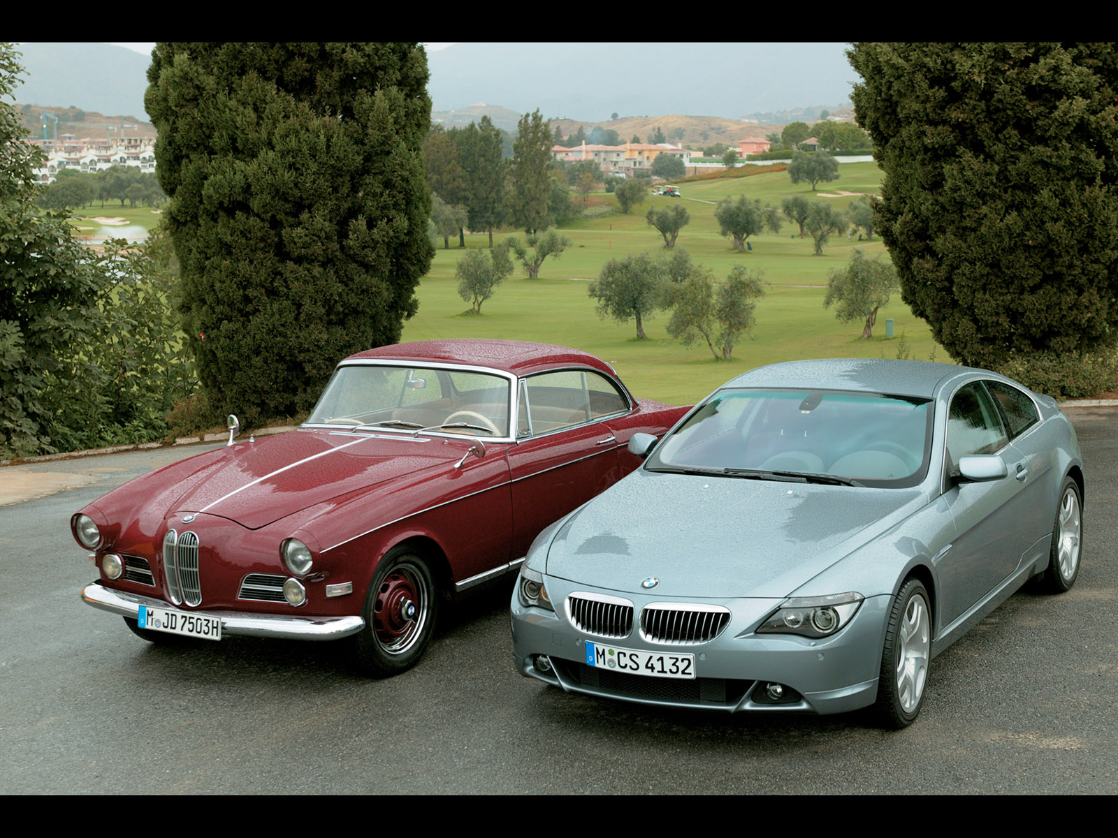 bmw 503 coupe