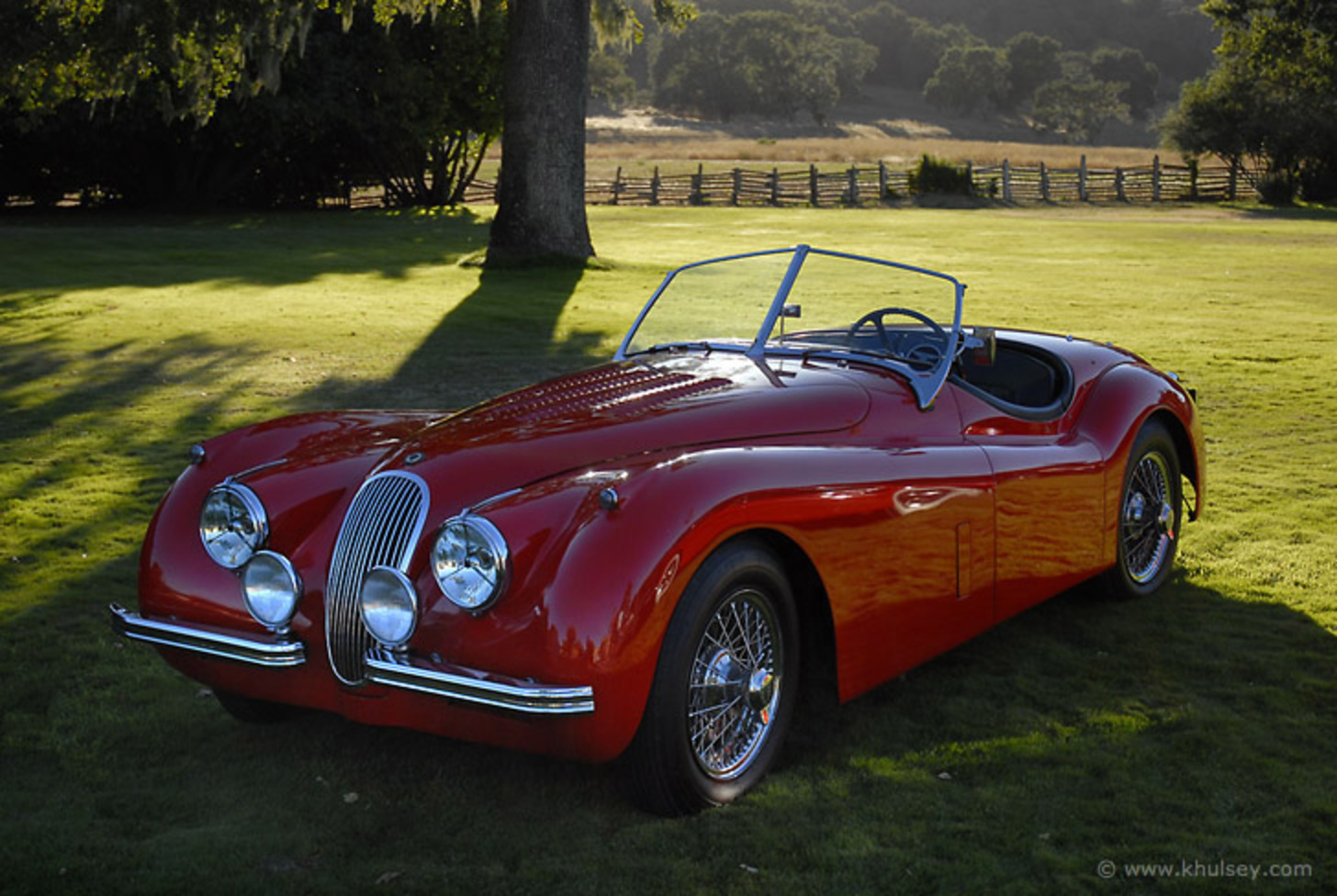 Jaguar xk140 1954