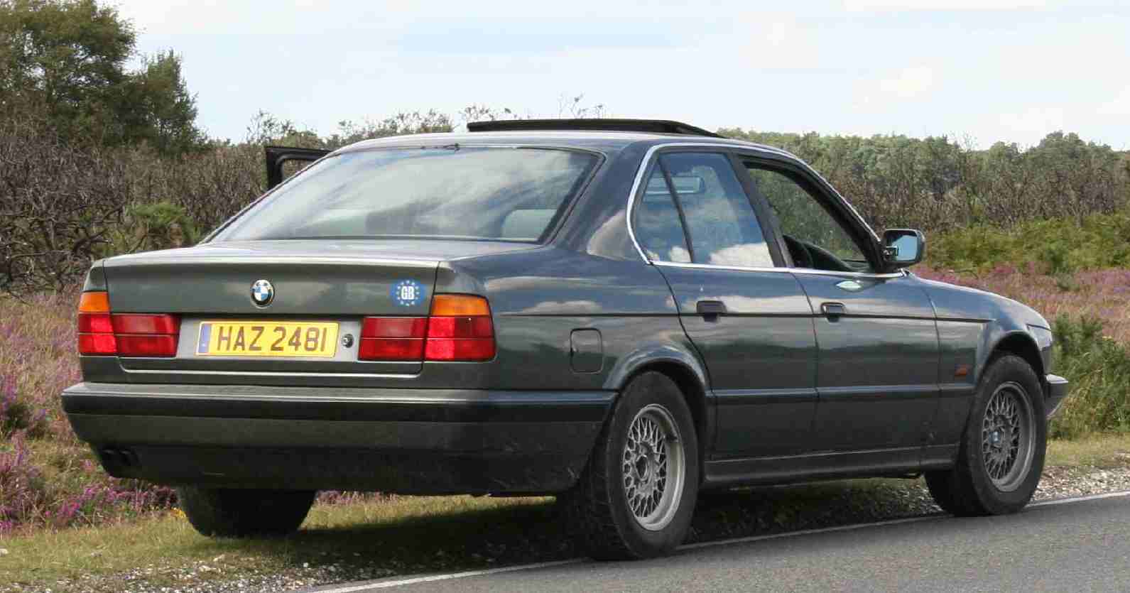 BMW 525 parked along road in New Forest