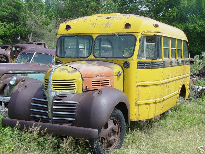 Dodge school bus