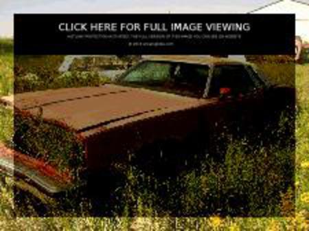 Oldsmobile Cutlass Supreme 2dr HT (06 image)