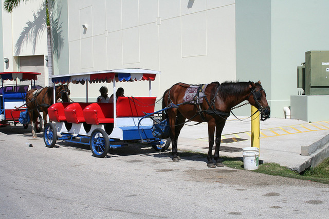 TopWorldAuto >> Photos of Colonial Taxi photo galleries