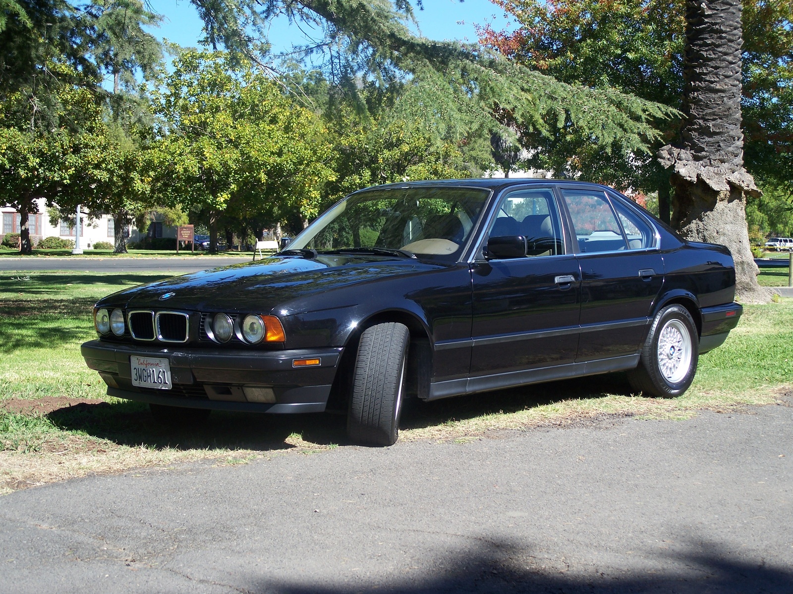 1994 BMW 5 Series 530i, Picture of 1994 BMW 530i
