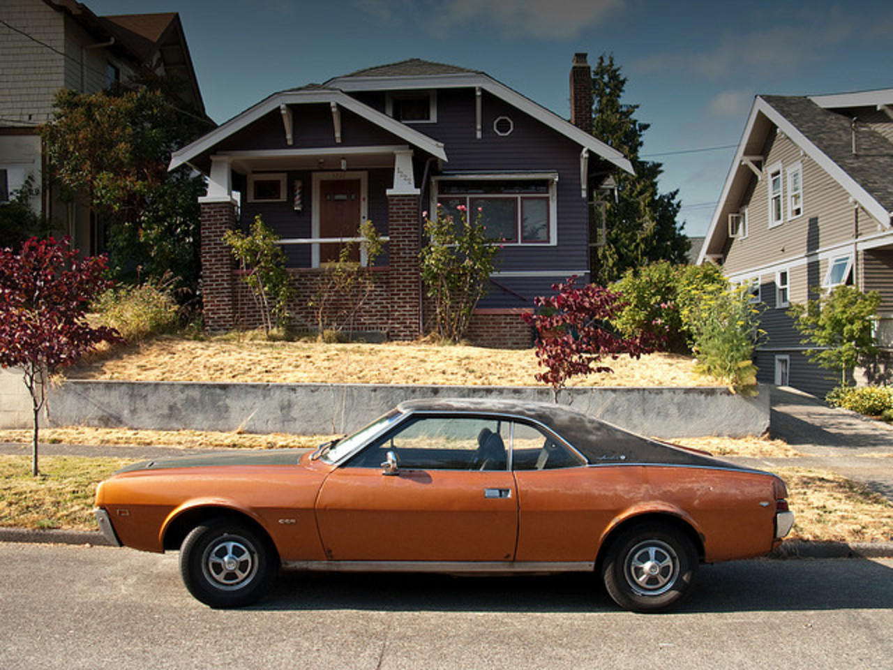 Caught in the Wild: 1969 AMC Javelin SST | Flickr - Photo Sharing!
