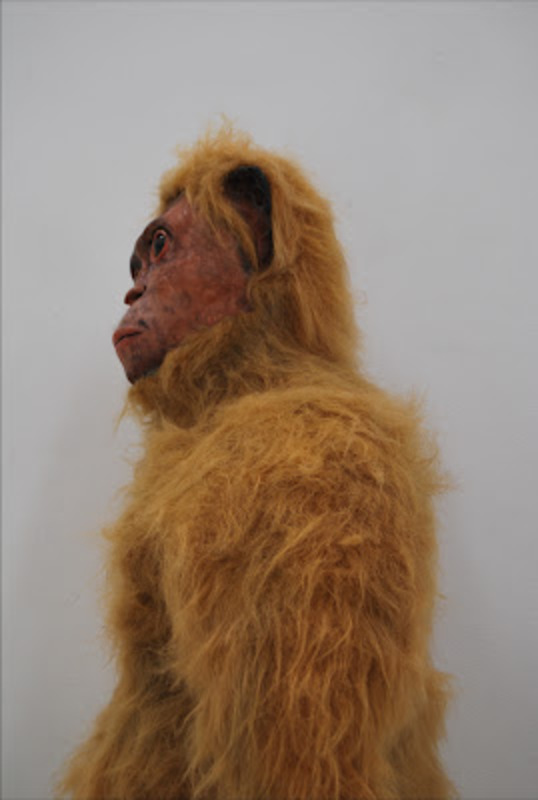 Mysterious Ape Comes to the Royal Academy of Art | Strange