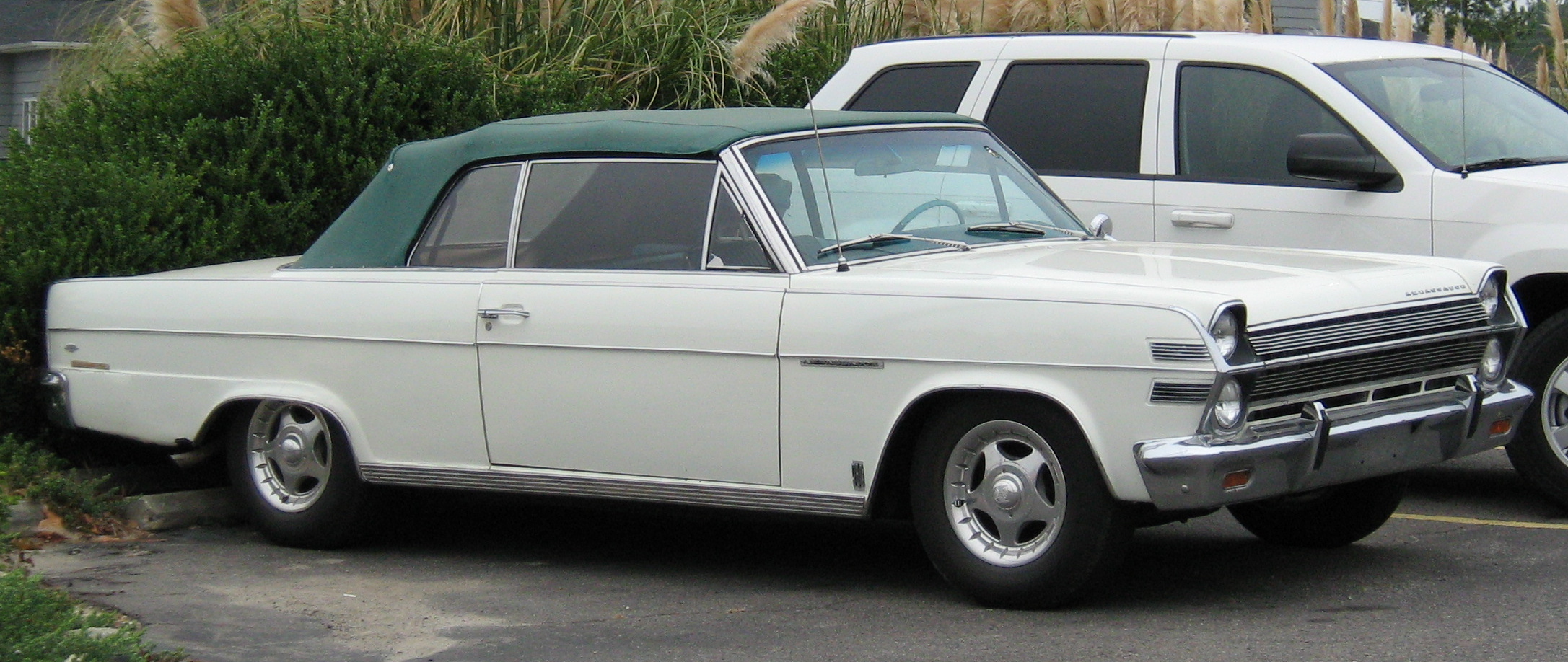 File:1966 AMC Ambassador 990 convertible white nc.jpg - Wikimedia ...
