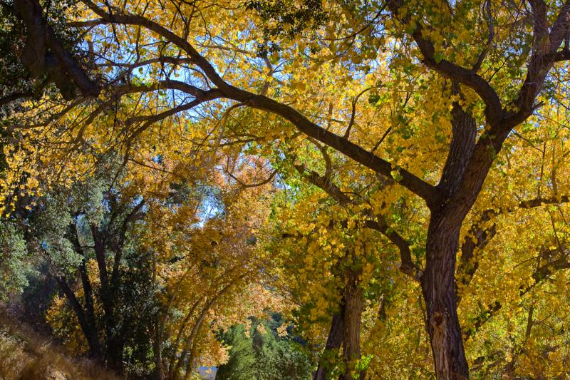 TopWorldAuto >> Photos of Austin windsor photo galleries