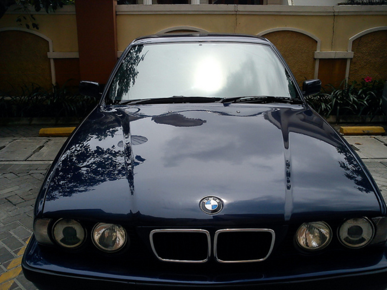 BMW 520i E34 M50 VANOS ENGINE 1995 | Flickr - Photo Sharing!