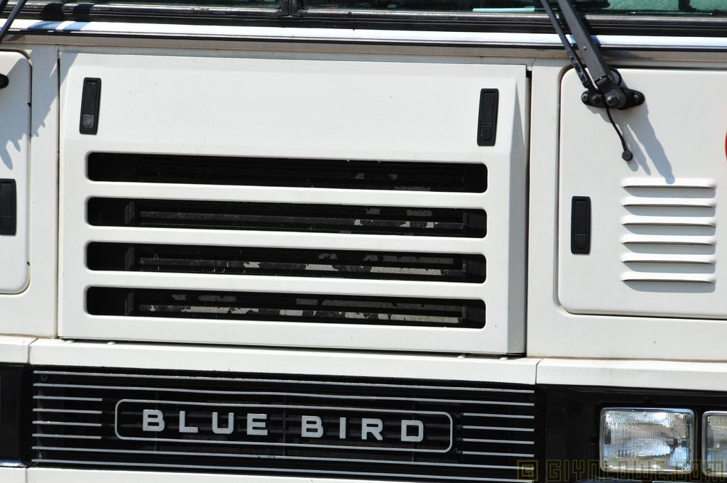 Blue Bird Bus - Washington DC | Flickr - Photo Sharing!