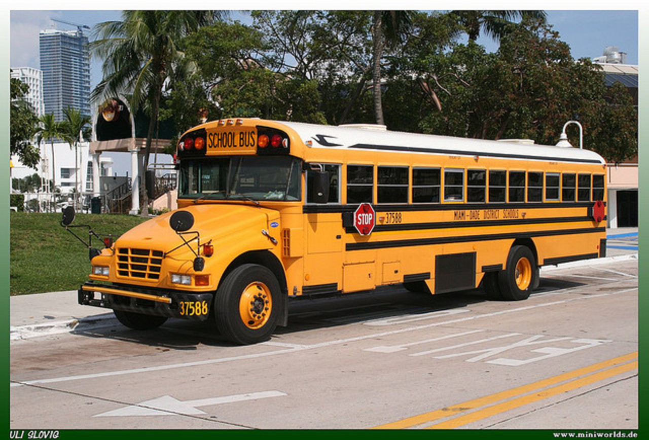 Blue Bird Vision "Miami-Dade Destrict Schools" | Flickr - Photo ...