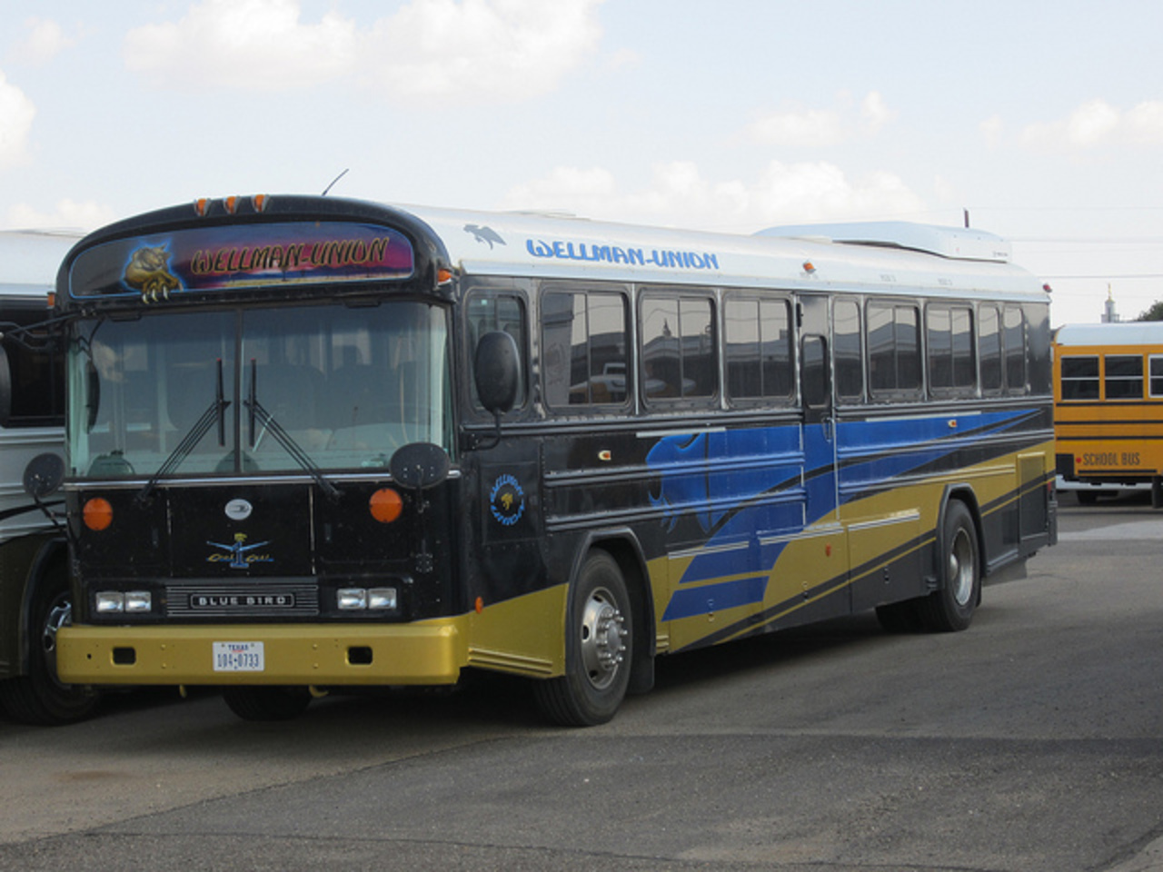 Flickr: The Blue Bird Buses Pool