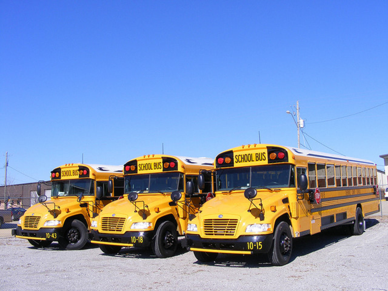Flickr: The School Bus Group Pool