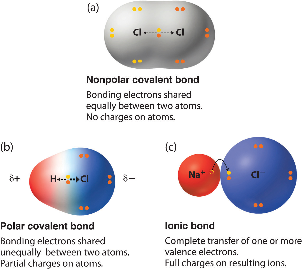 Polar Covalent Bonds