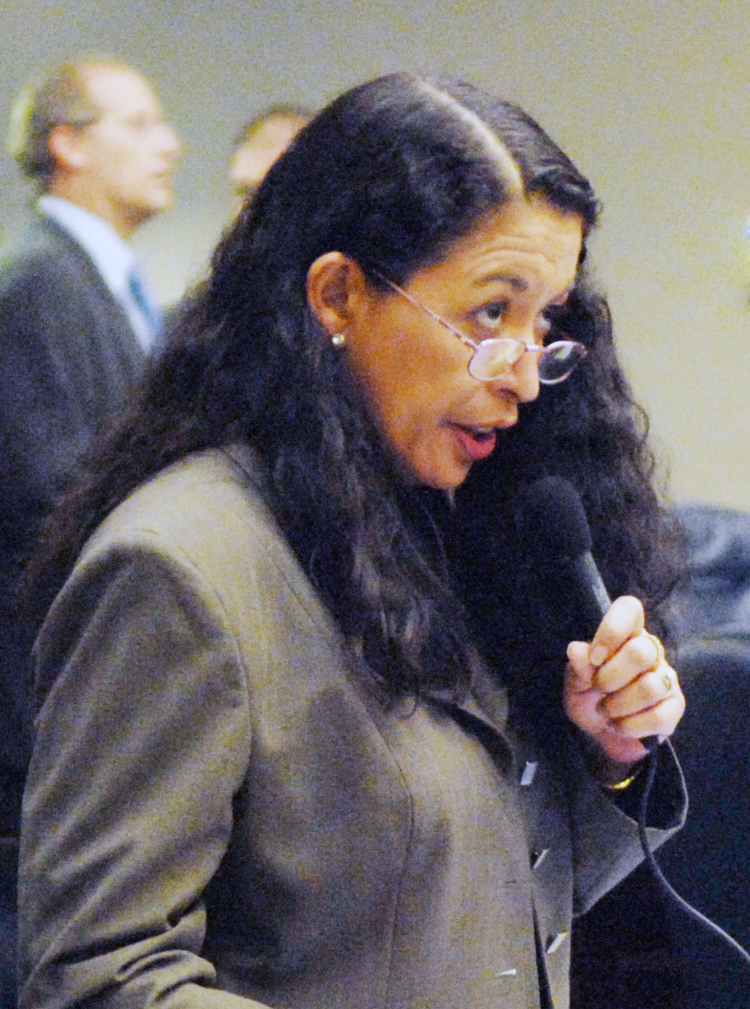 Florida House of Representatives - Susan Bucher - Regular Session 2007