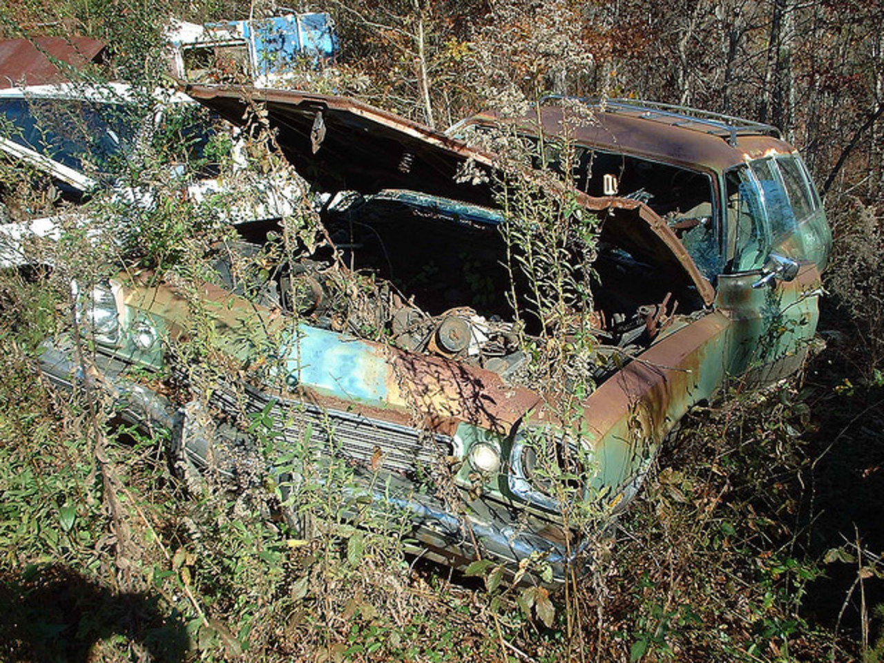 1973 Buick Century Luxus Station Wagon | Flickr - Photo Sharing!