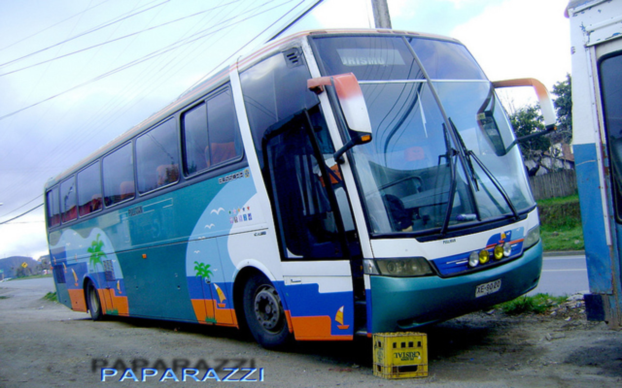 Novedades en Nacimiento!!! Busscar Vissta Buss HI - Buses DaS ...