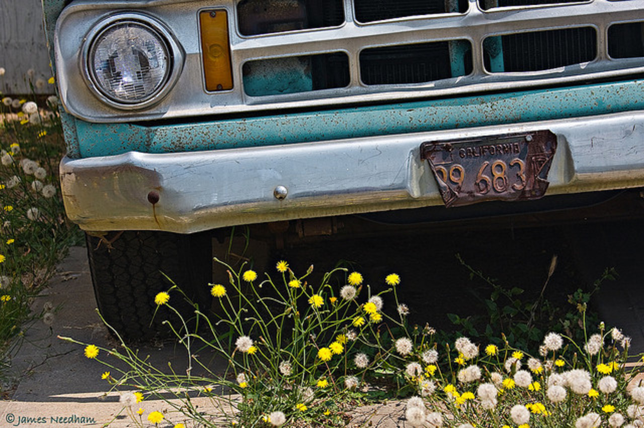 Flickr: The The American Pick-up Truck Pool