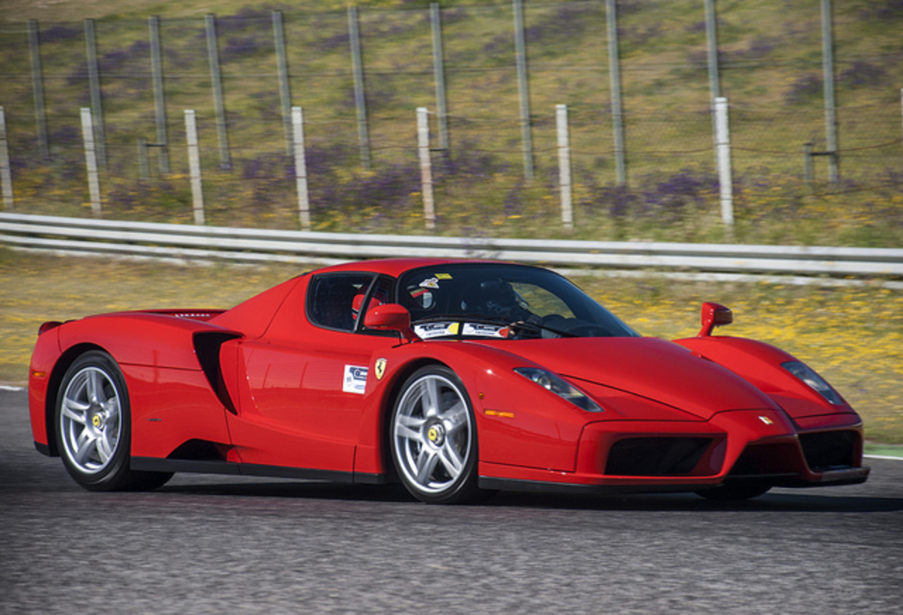 Ferrari Enzo Шумахера