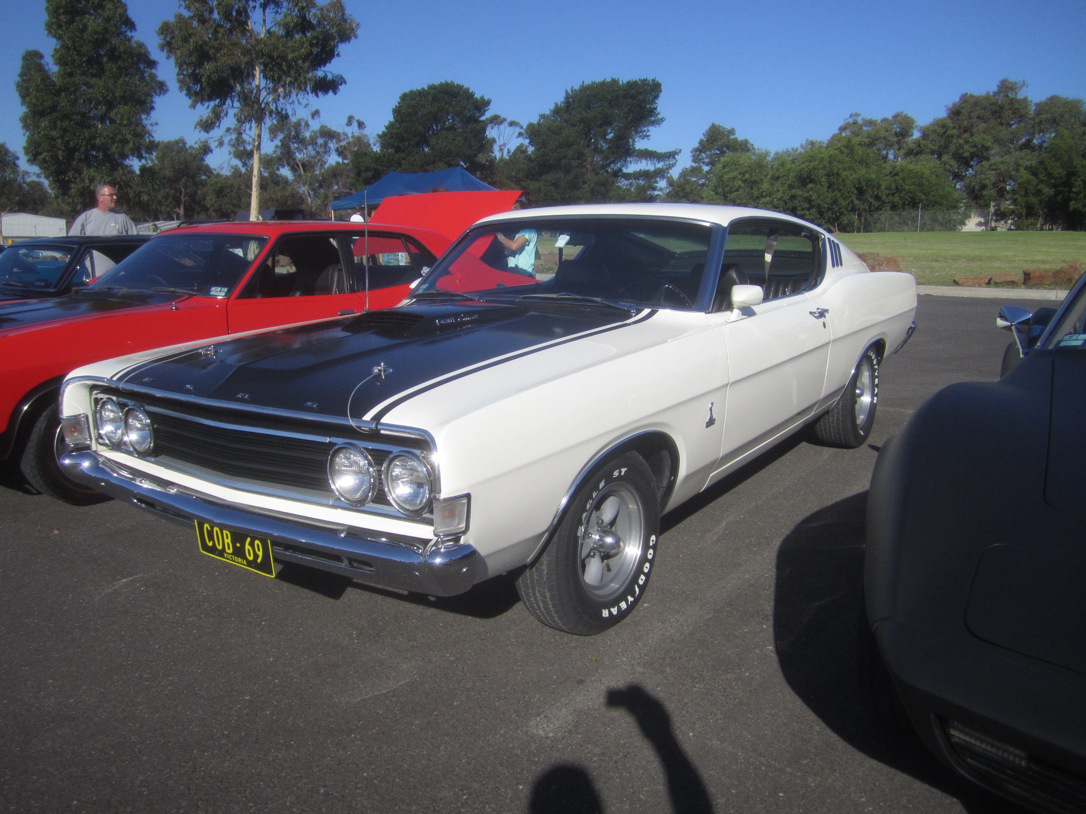 Ford Torino Cobra 1969