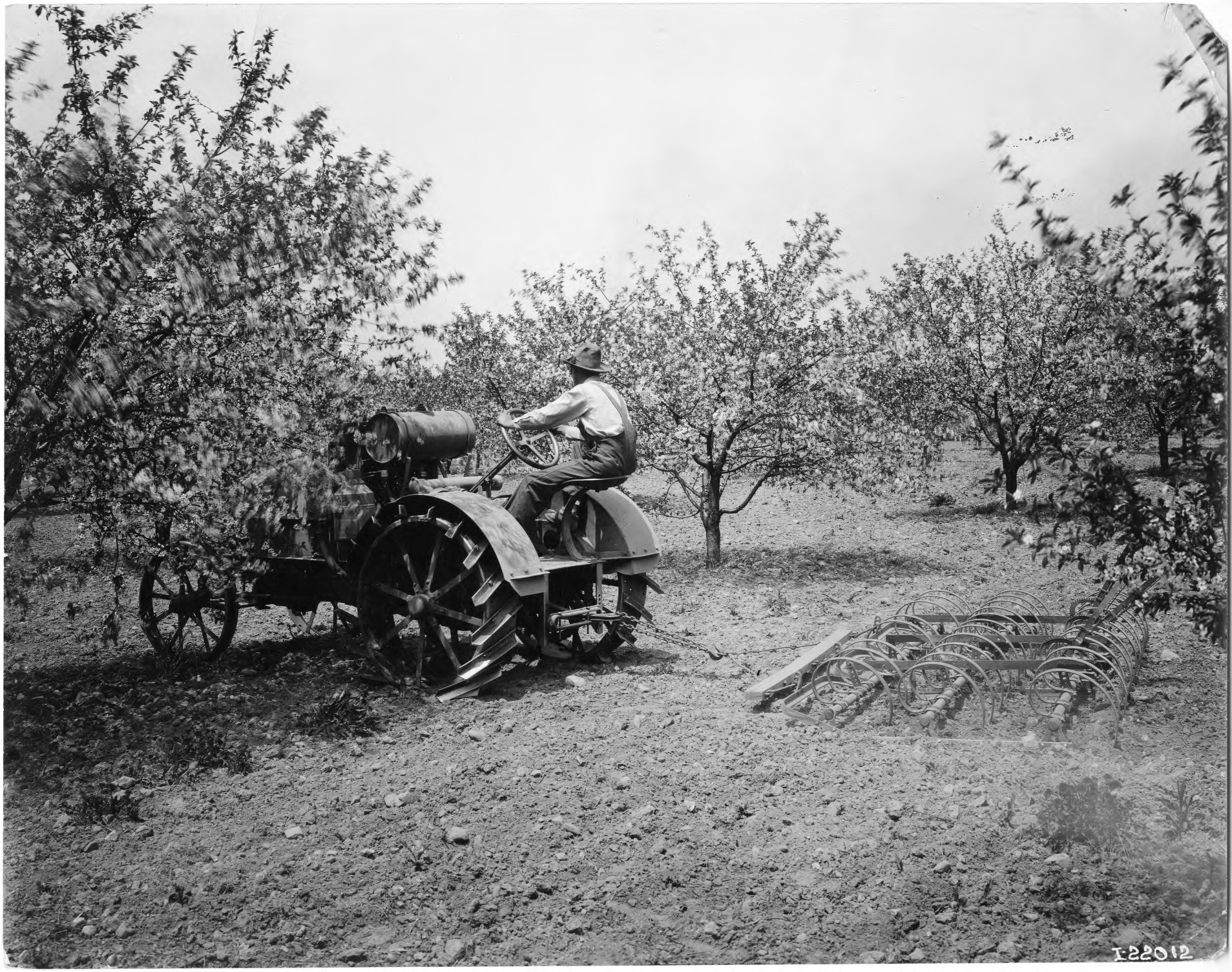 International Harvester Orchard Tractor