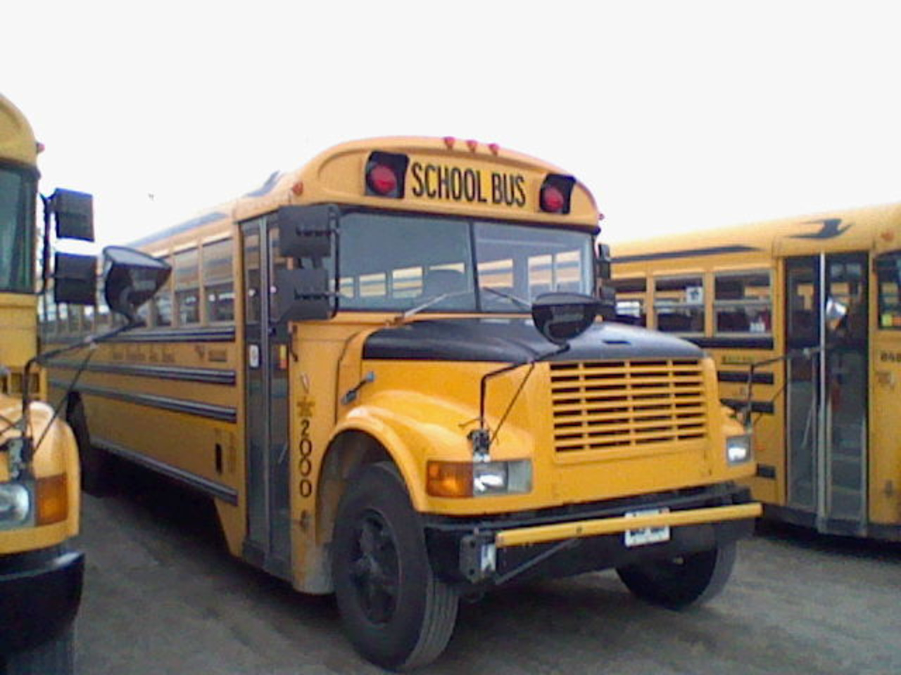 2000 Bluebird international 3800 T444E school bus | Flickr - Photo ...