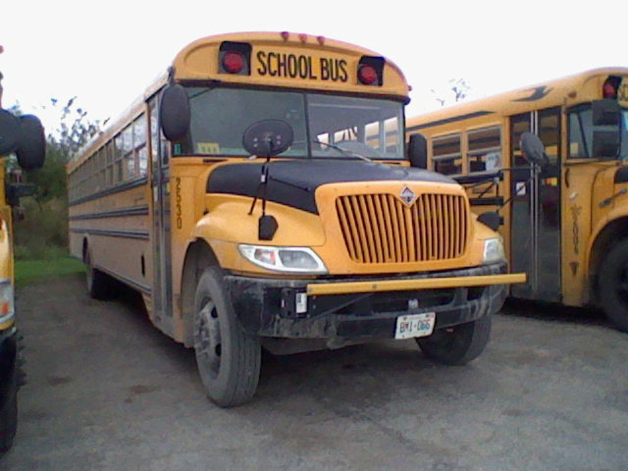 2005 Bluebird SBCV international 3300 school bus | Flickr - Photo ...