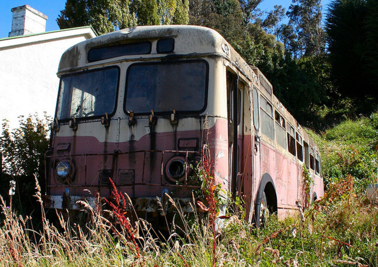Old Pink Bus | Flickr - Photo Sharing!