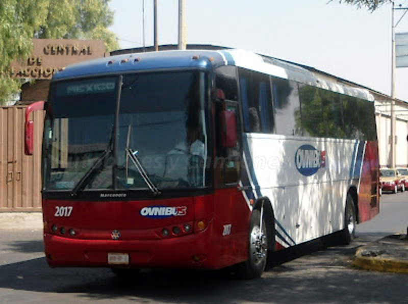 Autobuses y Camiones MÃ©xico: Autobuses ForÃ¡neos 11. Parte 2