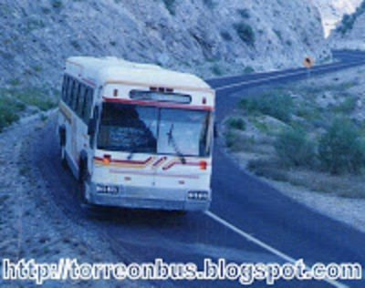 TorreÃ³n Bus: Flecha Amarilla Regional